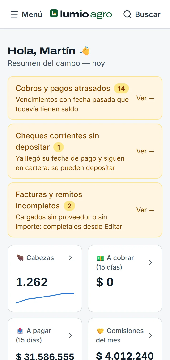 El inicio en el celular