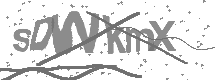 visual captcha